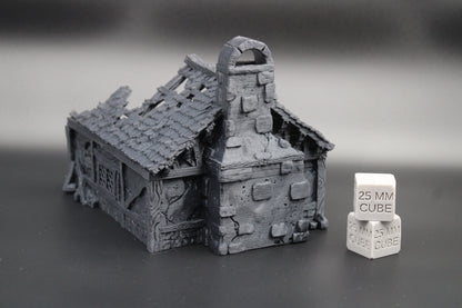 Tabletop Terrain Cottage House Ruins Dnd RPG wargame skirmish 28 32mm