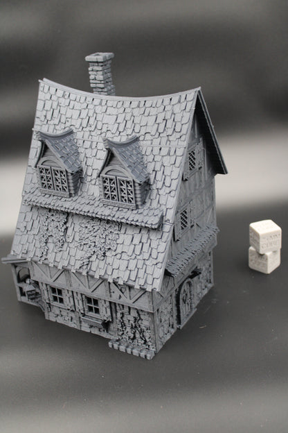 Tabletop Terrain Fantasy Blue Donkey Inn Dnd RPG wargame skirmish 28mm