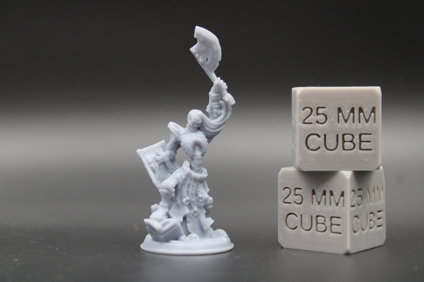 Skeleton Undead Shield Axe 32mm Miniature Dnd Skirmish 2