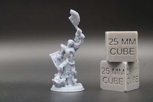 Skeleton Undead Shield Axe 32mm Miniature Dnd Skirmish 2