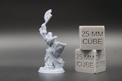 Skeleton Undead Shield Axe 32mm Miniature Dnd Skirmish 2