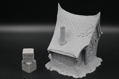 Tabletop Terrain Small Cottage Crypt Keeper Haunted Dnd RPG wargame skirmish 28mm Spider