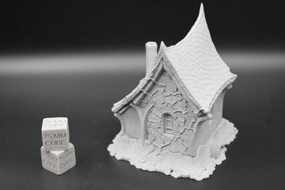 Tabletop Terrain Small Cottage Crypt Keeper Haunted Dnd RPG wargame skirmish 28mm Spider
