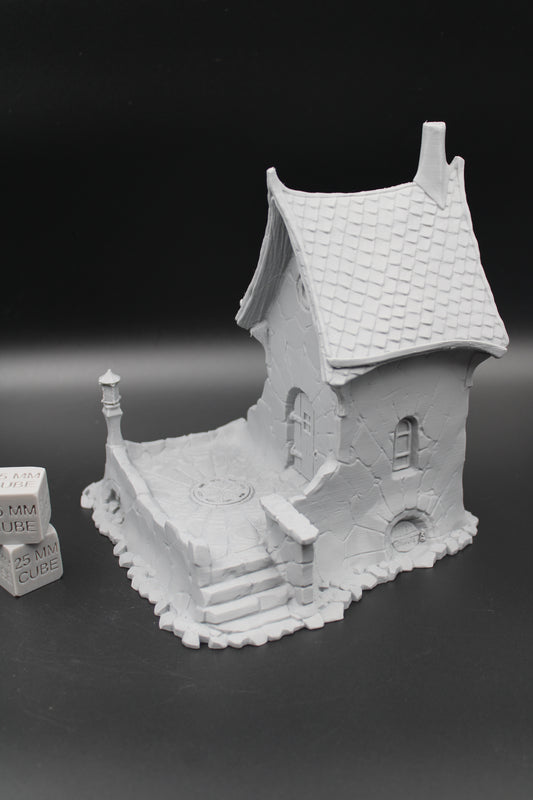 Tabletop Terrain Patio House Haunted Dnd RPG wargame skirmish 28mm Spider