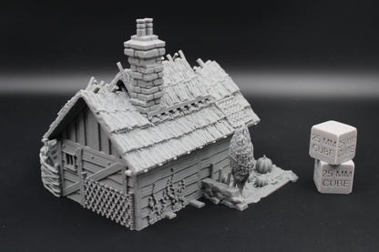 Tabletop Terrain Fantasy Farm Barn Pig Sty Chicken Coop Dnd RPG wargame skirmish 28mm