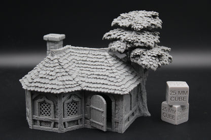 Tabletop Terrain Alchemist Druid Cottage House Dnd RPG wargame skirmish 28mm
