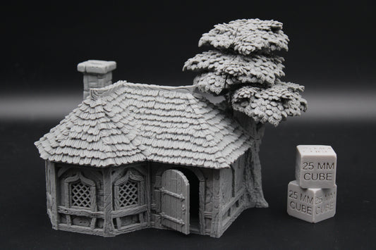 Tabletop Terrain Alchemist Druid Cottage House Dnd RPG wargame skirmish 28mm