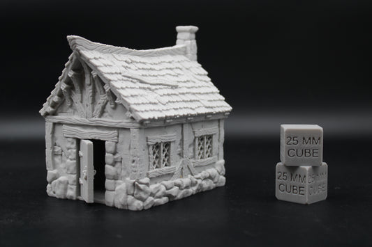 Tabletop Terrain Tiny Cottage House Damaged Roof Dnd RPG wargame skirmish 28mm
