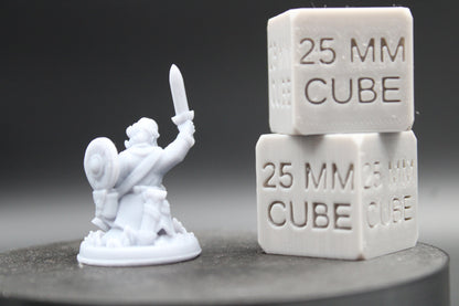 Halfling Adventurer Fighter Warrior Bandit Sword Shield 32mm Miniature Dnd Skirmish