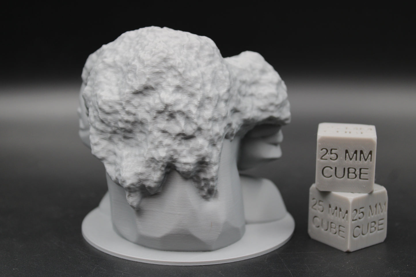Wise Stone Rock Oracle Sage Gargantuan Miniature Dnd RPG wargame skirmish 100mm