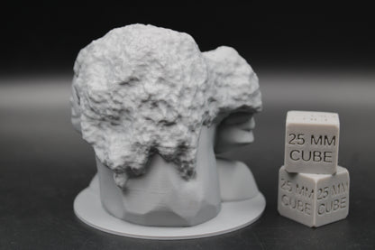 Wise Stone Rock Oracle Sage Gargantuan Miniature Dnd RPG wargame skirmish 100mm