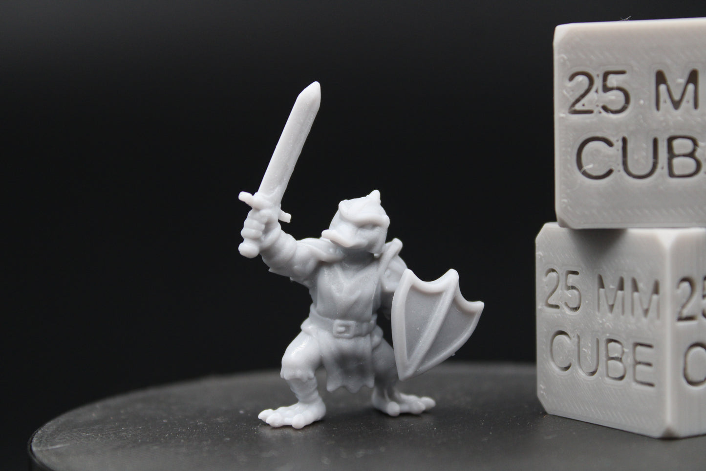 Mallard Duck Paladin Knight Sword Shield 28-32mm Miniature Dnd Skirmish