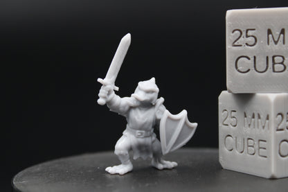 Mallard Duck Paladin Knight Sword Shield 28-32mm Miniature Dnd Skirmish