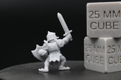 Mallard Duck Paladin Knight Sword Shield 28-32mm Miniature Dnd Skirmish