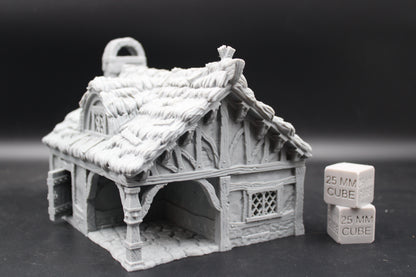 Tabletop Terrain Cottage Thatch Roof House Dnd RPG wargame skirmish 28mm