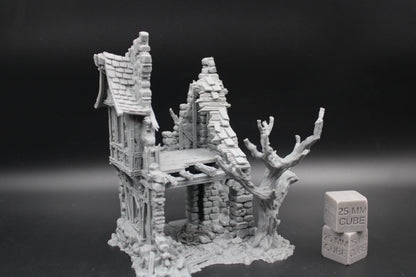 Tabletop Terrain Fantasy Coven House Ruin 2 Story With Tree Dnd RPG wargame skirmish 28-32mm