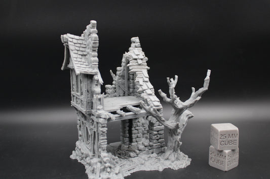 Tabletop Terrain Fantasy Coven House Ruin 2 Story With Tree Dnd RPG wargame skirmish 28-32mm