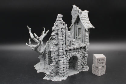Tabletop Terrain Fantasy Coven House Ruin 2 Story With Tree Dnd RPG wargame skirmish 28-32mm