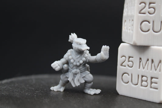 Mallard Duck Monk 28-32mm Miniature Dnd Skirmish