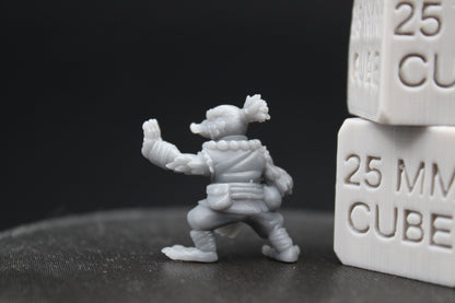 Mallard Duck Monk 28-32mm Miniature Dnd Skirmish