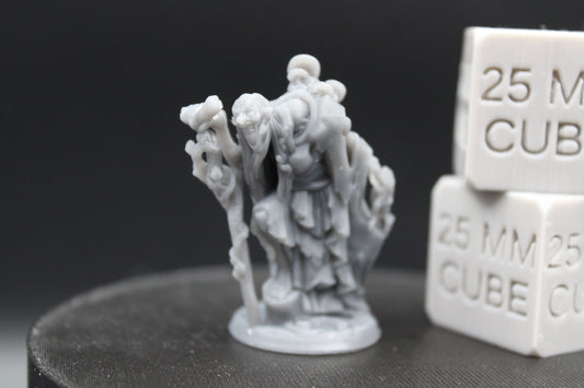 Swamp Marsh Hedge Witch Hag Female 32mm Miniature Dnd Skirmish