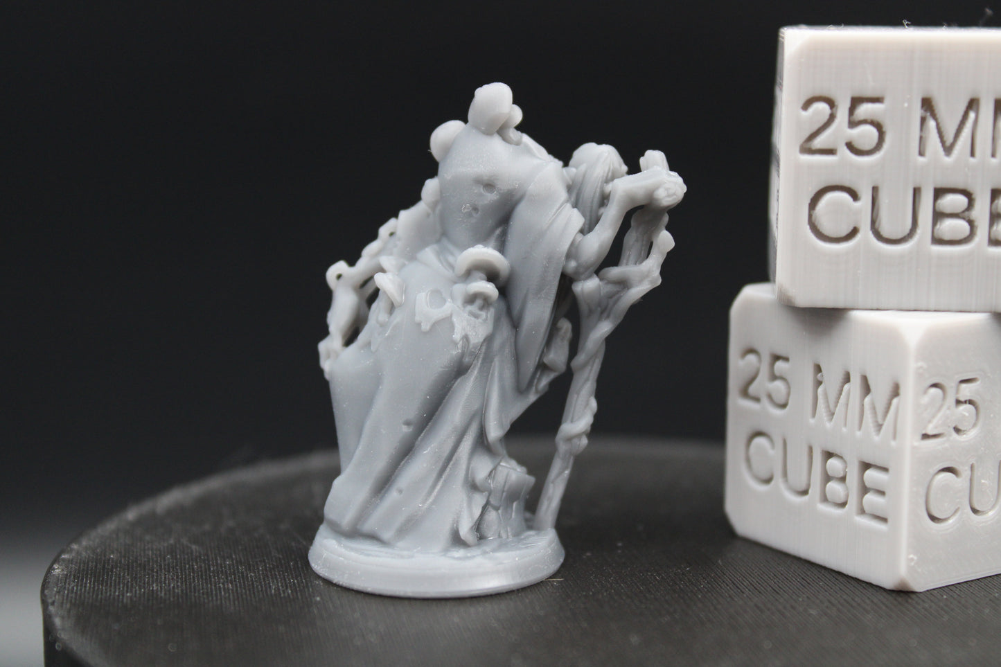 Swamp Marsh Hedge Witch Hag Female 32mm Miniature Dnd Skirmish