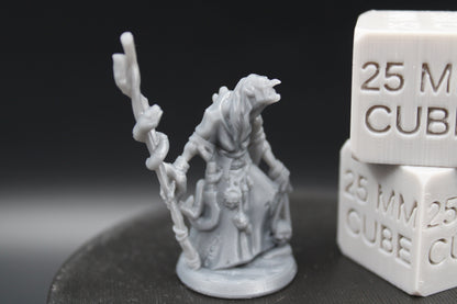 Witch Hag Snake Staff Female 32mm Miniature Dnd Skirmish