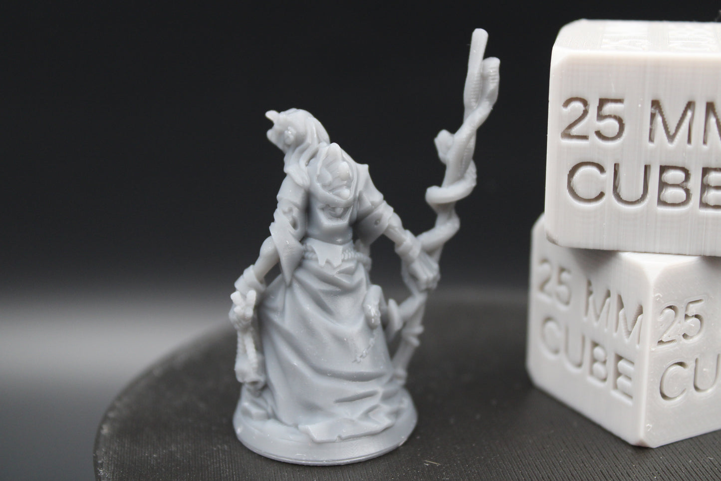 Witch Hag Snake Staff Female 32mm Miniature Dnd Skirmish