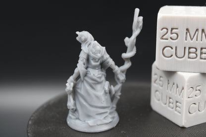 Witch Hag Snake Staff Female 32mm Miniature Dnd Skirmish