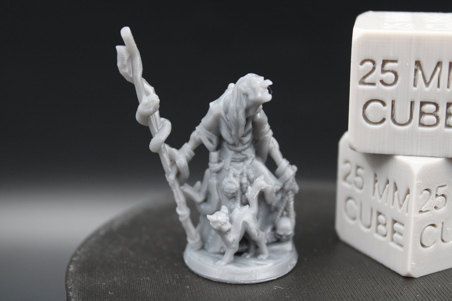 Witch Hag Snake Staff With Cat Female 32mm Miniature Dnd Skirmish