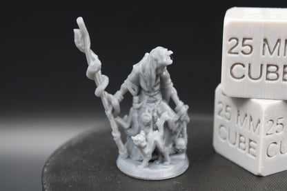 Witch Hag Snake Staff With Cat Female 32mm Miniature Dnd Skirmish
