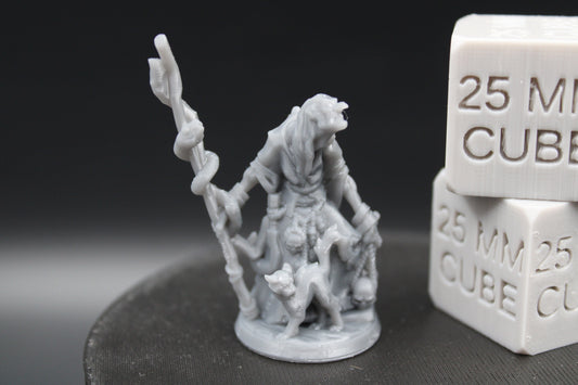 Witch Hag Snake Staff With Cat Female 32mm Miniature Dnd Skirmish