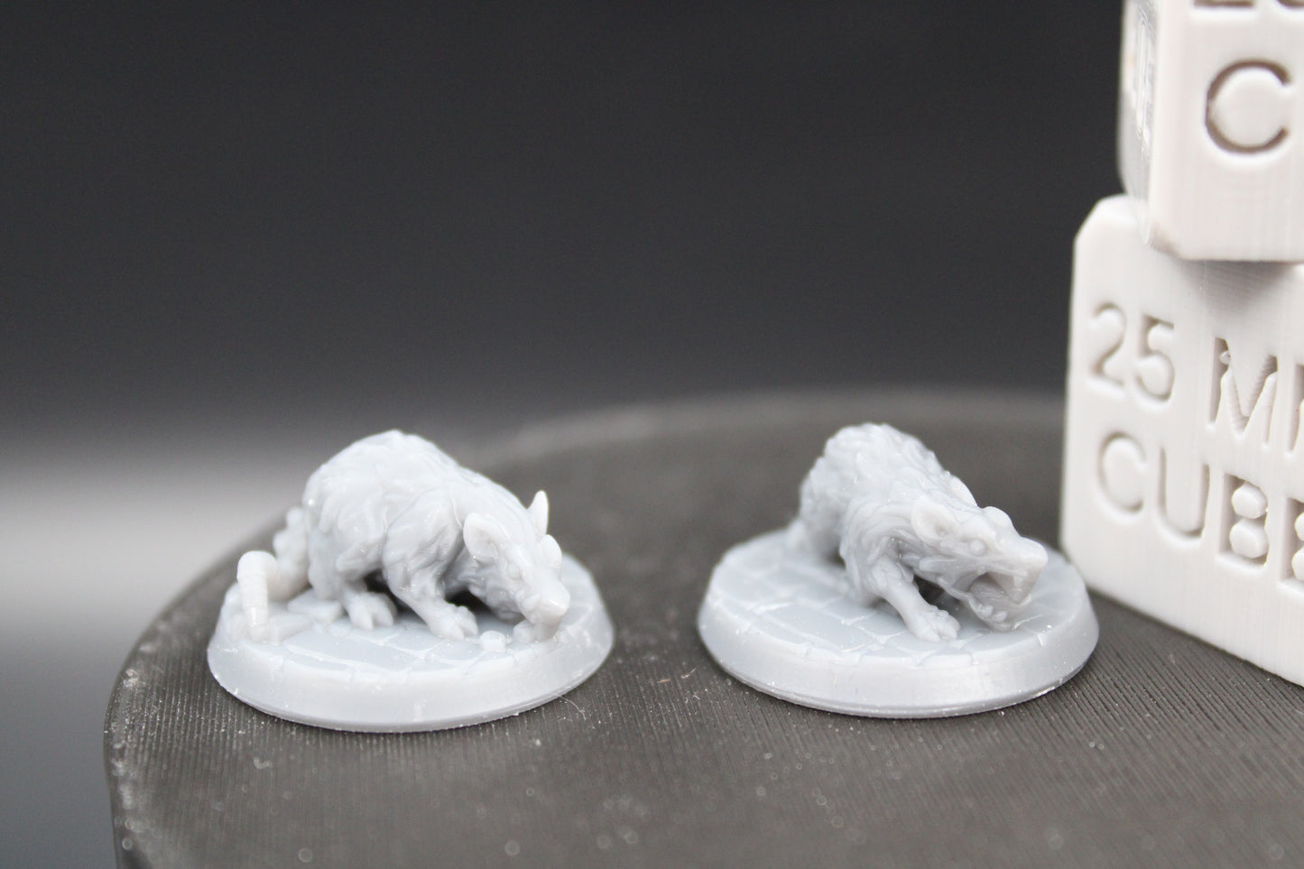 Witch Familiar Giant Rat Pair 32mm Miniature Dnd Skirmish