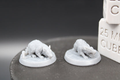 Witch Familiar Giant Rat Pair 32mm Miniature Dnd Skirmish