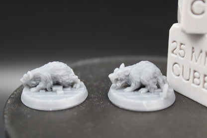 Witch Familiar Giant Rat Pair 32mm Miniature Dnd Skirmish
