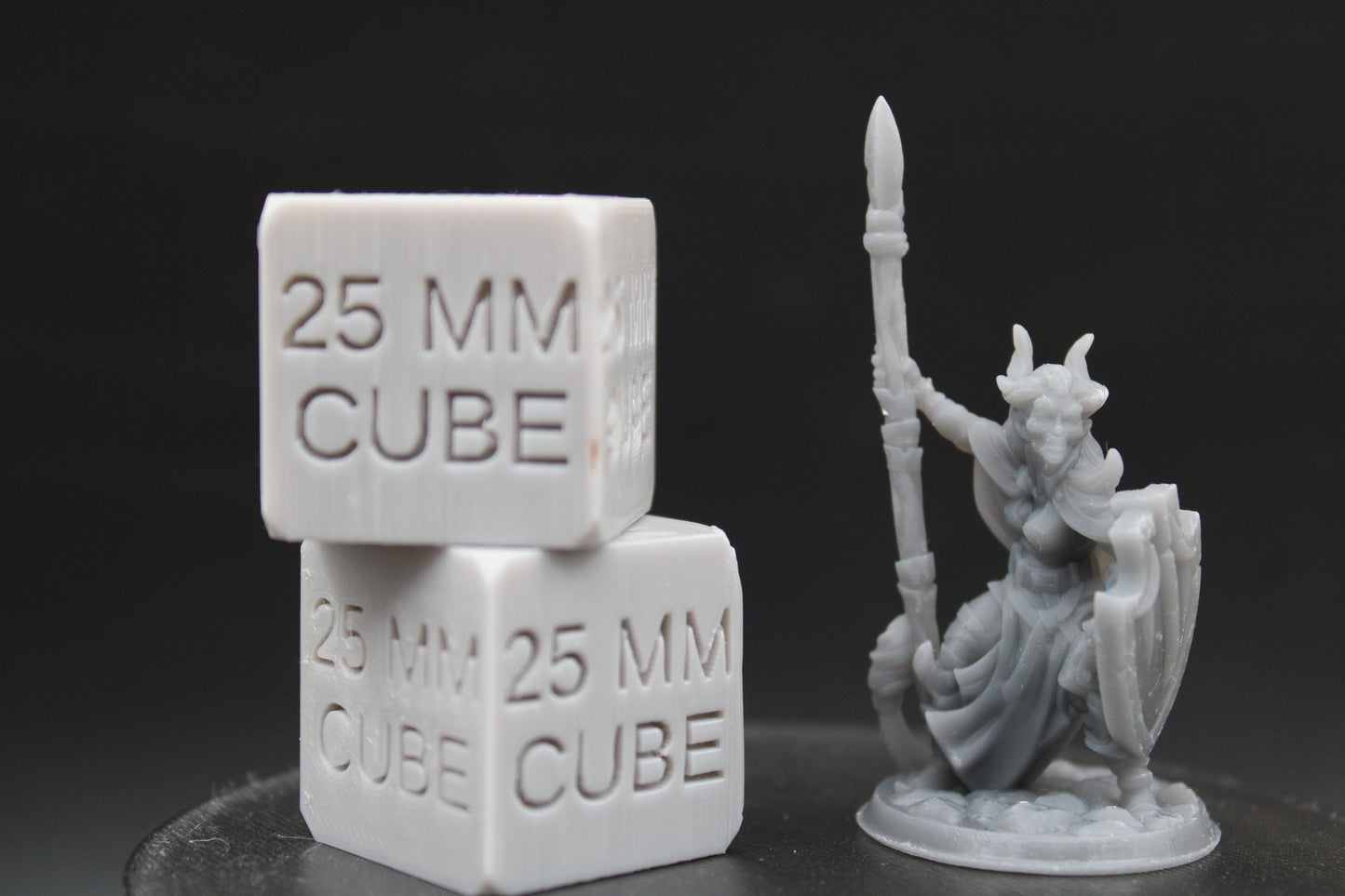Tiefling Demonkin Female with Spear and Shield 32mm Miniature Dnd Skirmish