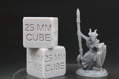 Tiefling Demonkin Female with Spear and Shield 32mm Miniature Dnd Skirmish