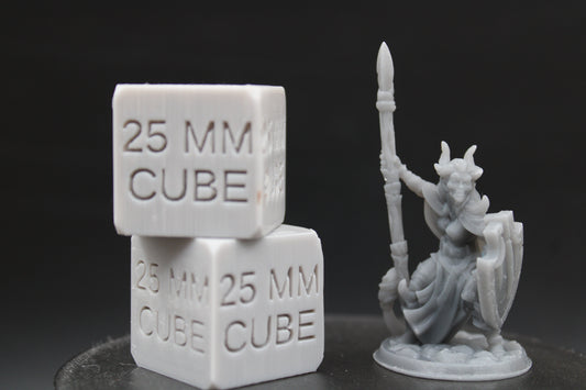 Tiefling Demonkin Female with Spear and Shield 32mm Miniature Dnd Skirmish