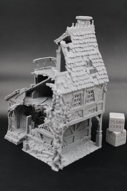Tabletop Terrain Ruin Healers House Witch Wizard Druid Dnd RPG wargame skirmish 28mm
