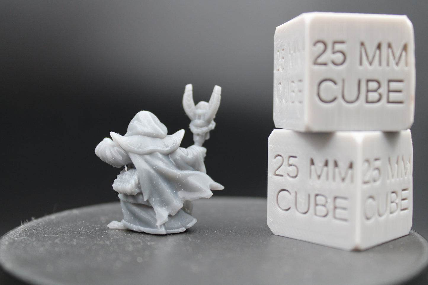 Mallard Duck Necromancer Warlock Wizard Sorcerer Mage 28-32mm Miniature Dnd Skirmish