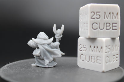 Mallard Duck Necromancer Warlock Wizard Sorcerer Mage 28-32mm Miniature Dnd Skirmish