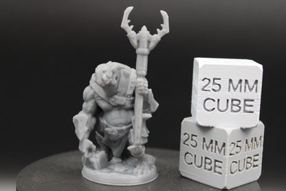 Ogre Guardian Gladiator Fighter Armor Helm Pole Arm 32mm Miniature Dnd Skirmish