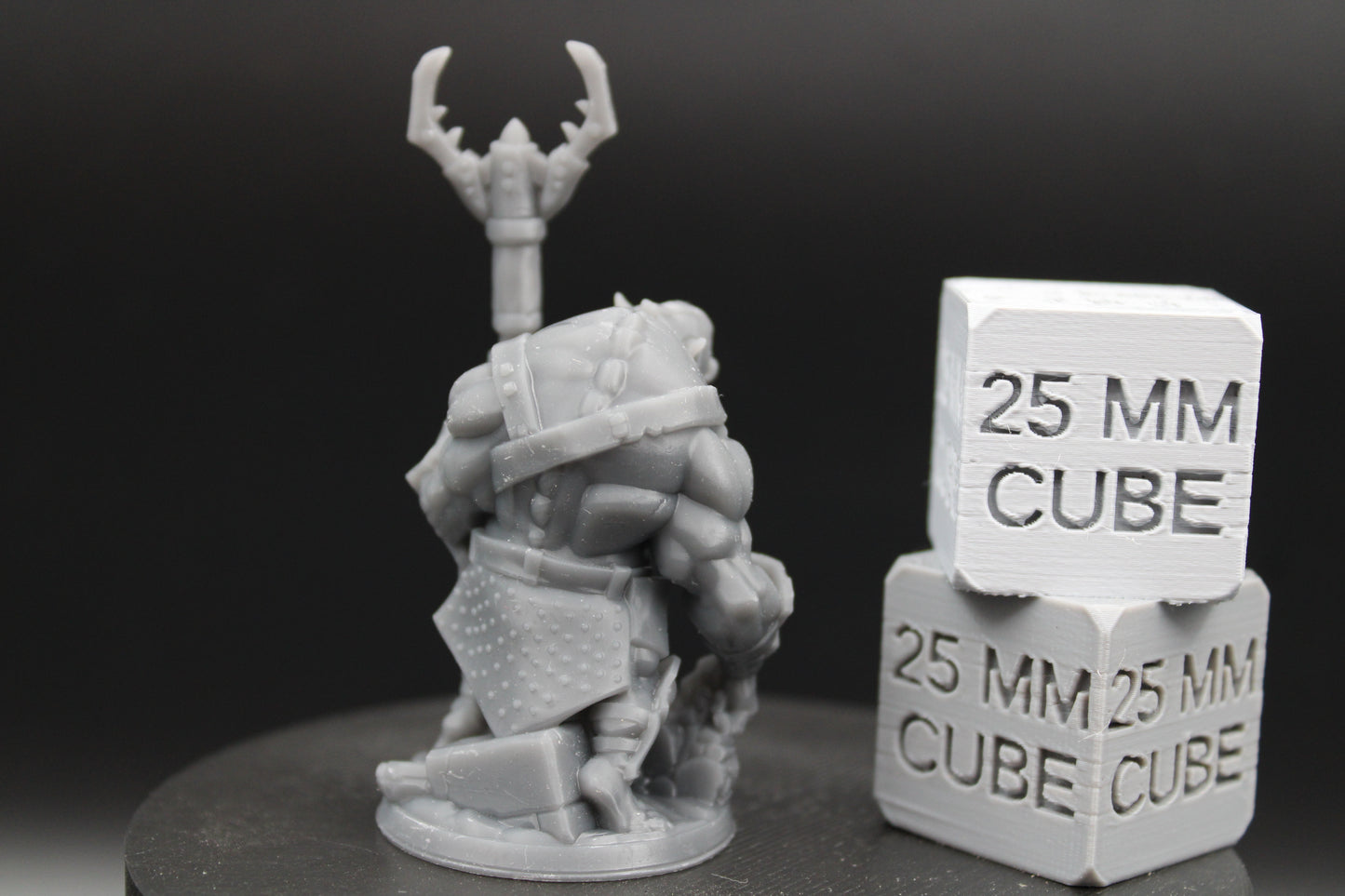 Ogre Guardian Gladiator Fighter Armor Helm Pole Arm 32mm Miniature Dnd Skirmish