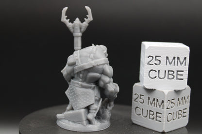 Ogre Guardian Gladiator Fighter Armor Helm Pole Arm 32mm Miniature Dnd Skirmish