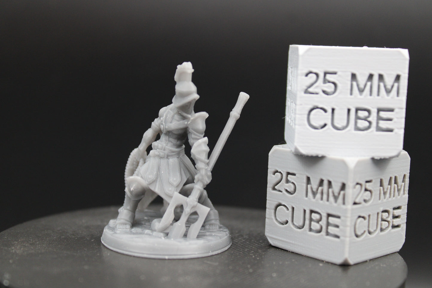 Guardian Gladiator Fighter Armor Helm Pole Arm Net 32mm Miniature Dnd Skirmish