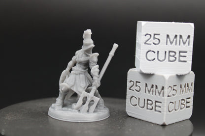 Guardian Gladiator Fighter Armor Helm Pole Arm Net 32mm Miniature Dnd Skirmish
