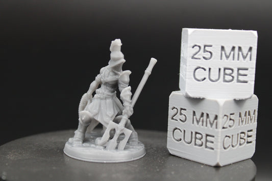 Guardian Gladiator Fighter Armor Helm Pole Arm Net 32mm Miniature Dnd Skirmish