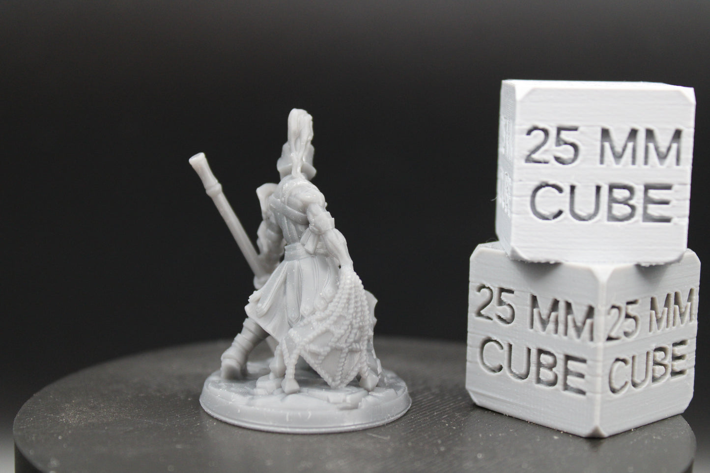 Guardian Gladiator Fighter Armor Helm Pole Arm Net 32mm Miniature Dnd Skirmish