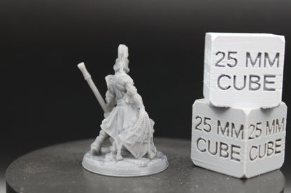 Guardian Gladiator Fighter Armor Helm Pole Arm Net 32mm Miniature Dnd Skirmish