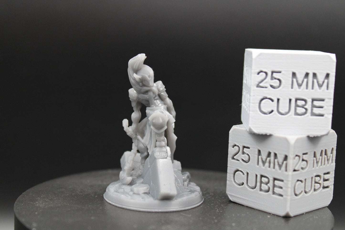 Elf Elven Guardian Gladiator Fighter Armor Helm Chain Blade 32mm Miniature Dnd Skirmish